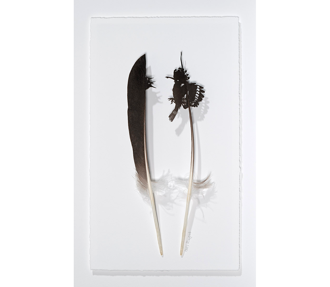 "Hoopoo" - Chris Maynard